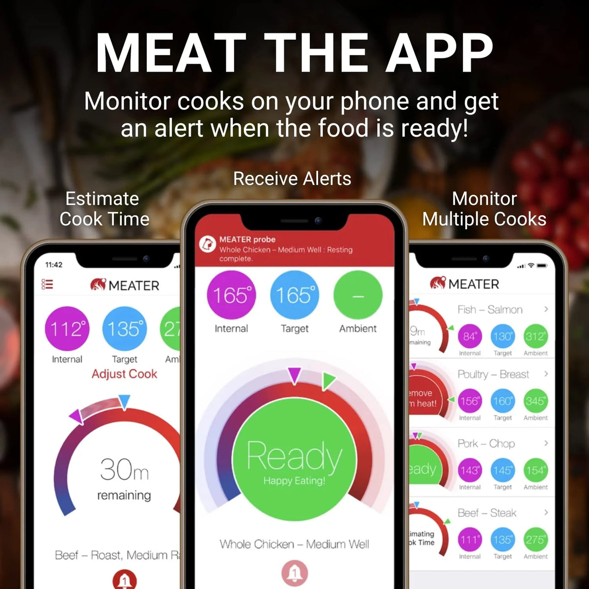 MEATER Plus Smart Meat Thermometer With Bluetooth, 165ft Wireless Range - OSC-MT-MP01