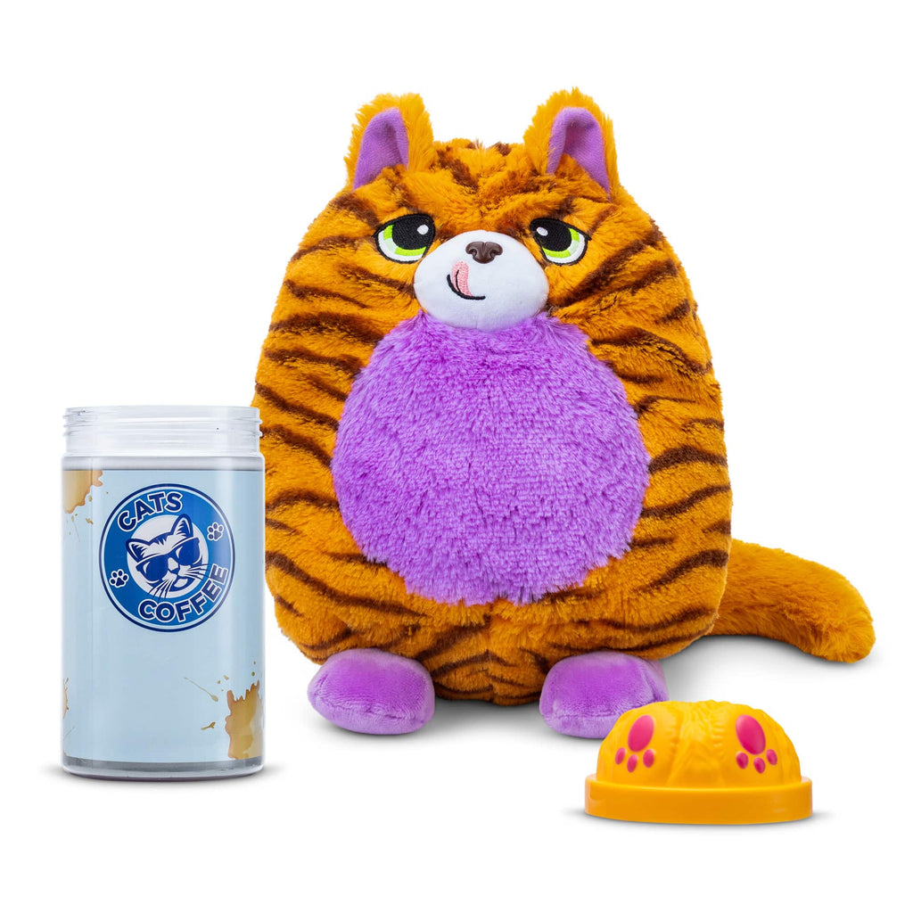 Misfittens Assortment - Cats