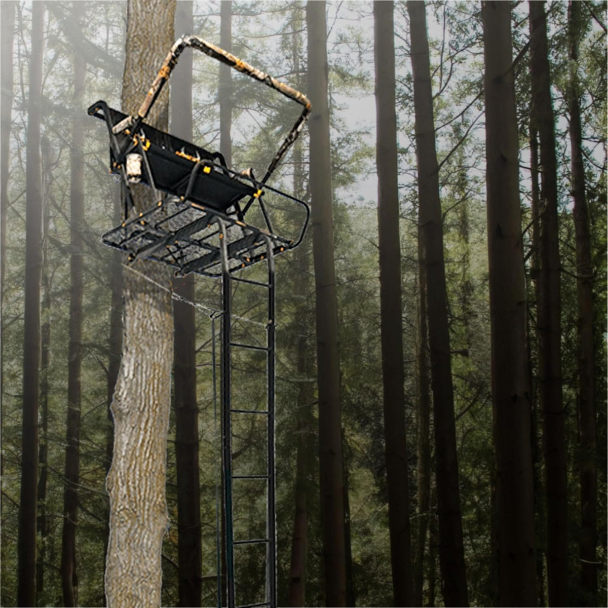 2-Person Ladder Tree Stand, 20ft, 500lb Capacity