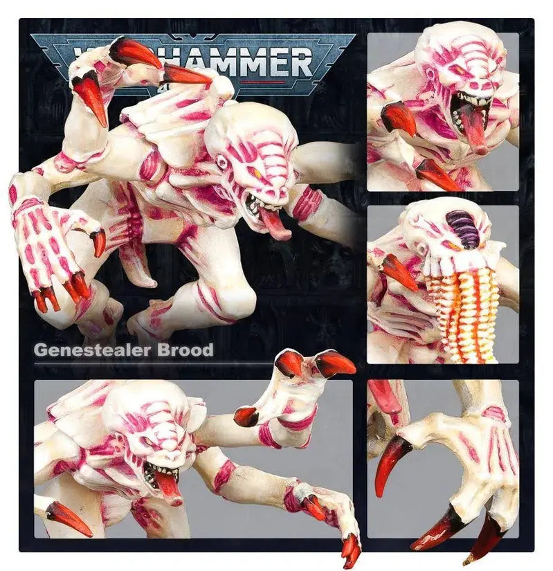 Warhammer 40K Tyranids Battleforce Brood Swarm Starter Set