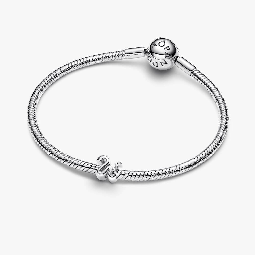 Snake Mini Charm