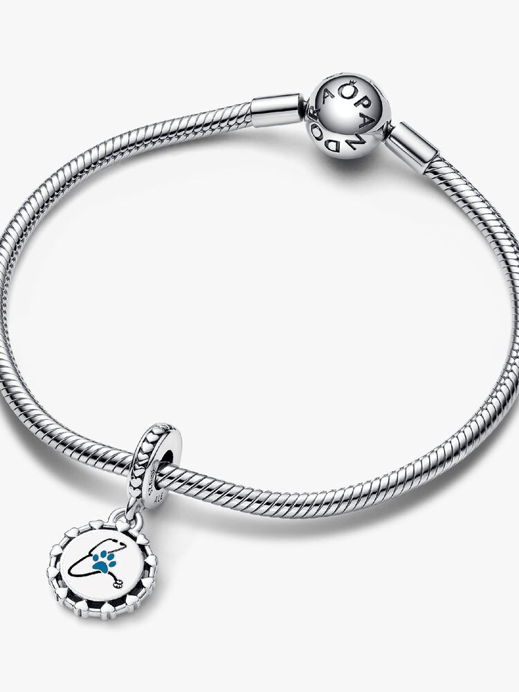 Engravable Veterinarian Dangle Charm
