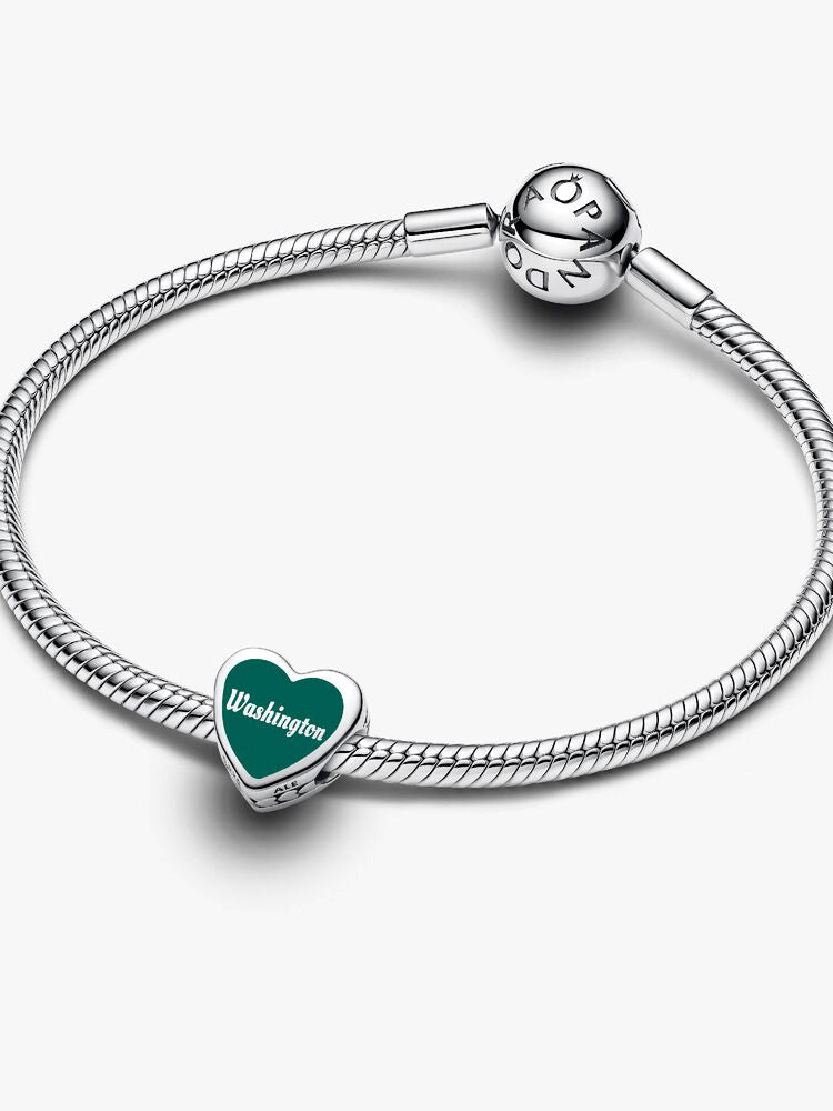 Washington State Scene Heart Charm