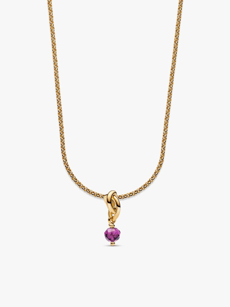 February Eternity Circle Dangle Charm Necklace Set