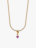 February Eternity Circle Dangle Charm Necklace Set