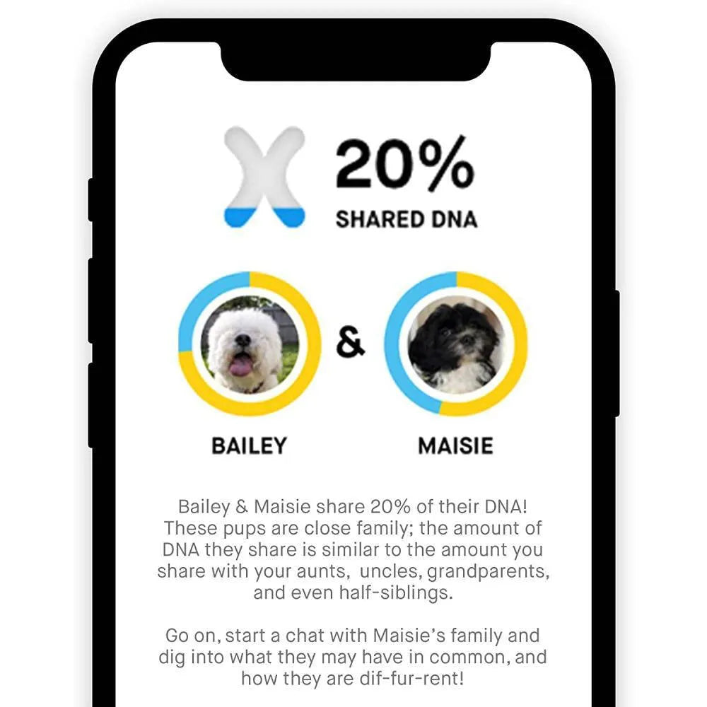 Embark Dog DNA Test Breed Identification Kit