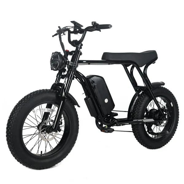 Electric Mountain Bike For Adults With 20 x 4.0 Fat Tires, 1000W Motor, 48V 20Ah Removable Battery, 45MPH Speed, 7-Speed