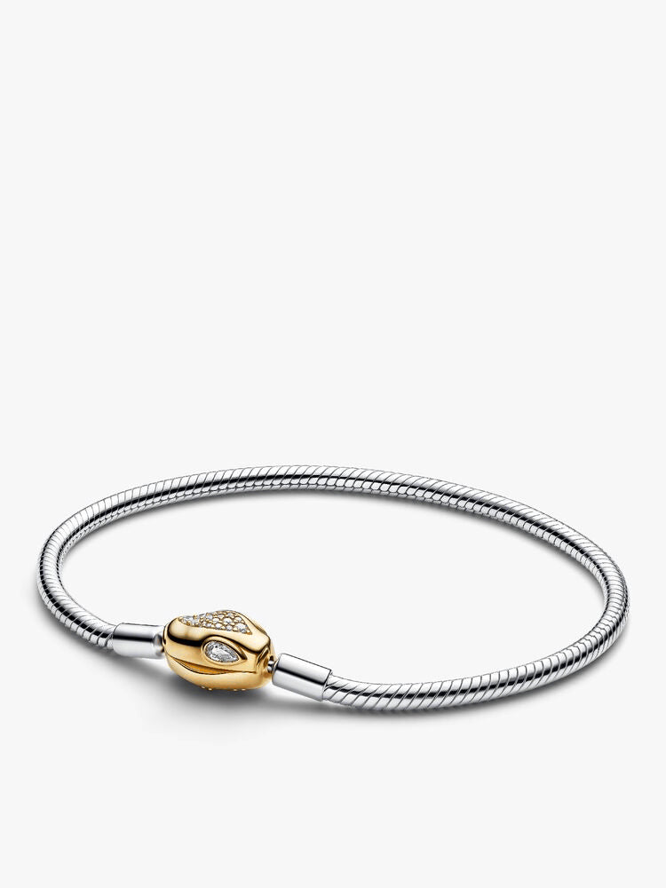 Lunar New Year Snake Clasp & Chain Charm Bracelet Set