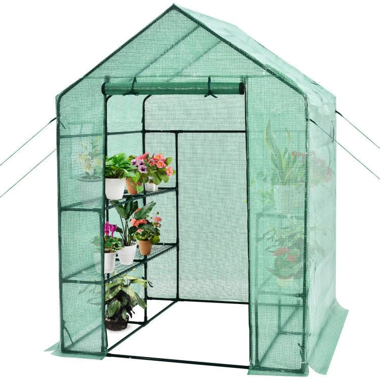 Walk-In Garden Greenhouse With Observation Windows, 56 in x 56 in x 77 in, 8 Shelves, Green