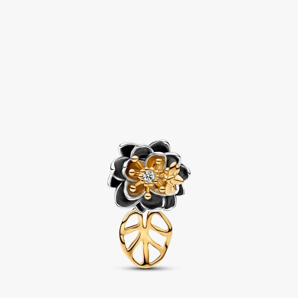 Elevated Tiana Charm Bracelet Set