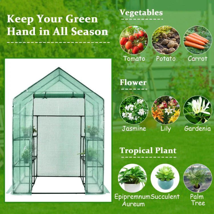Walk-In Garden Greenhouse With Observation Windows, 56 in x 56 in x 77 in, 8 Shelves, Green