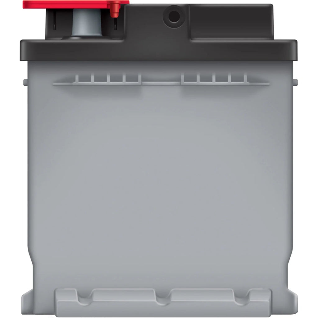 EverStart Platinum AGM Automotive Battery, Group Size H7 / LN4 / 94R, 12 Volt, 850 CCA