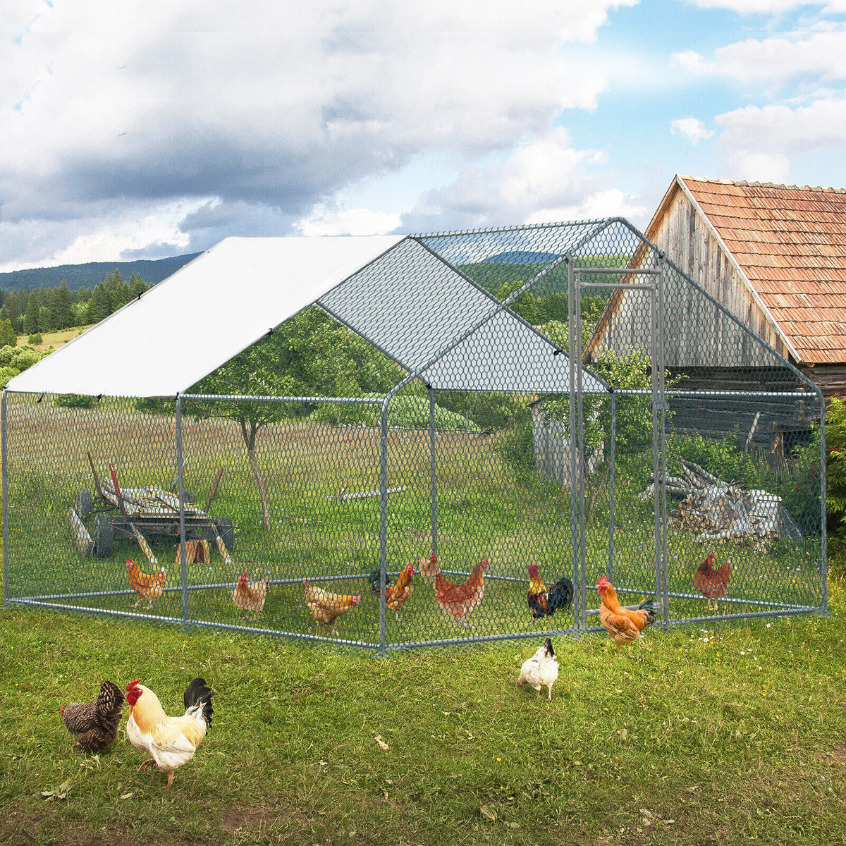 ZGBY Metal Chicken Run Pen 10X10Ft