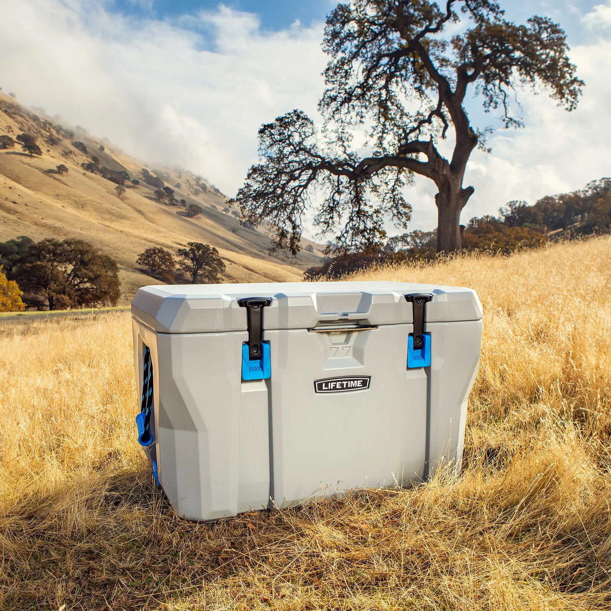 77-Quart High-Performance Cooler - Model 90903