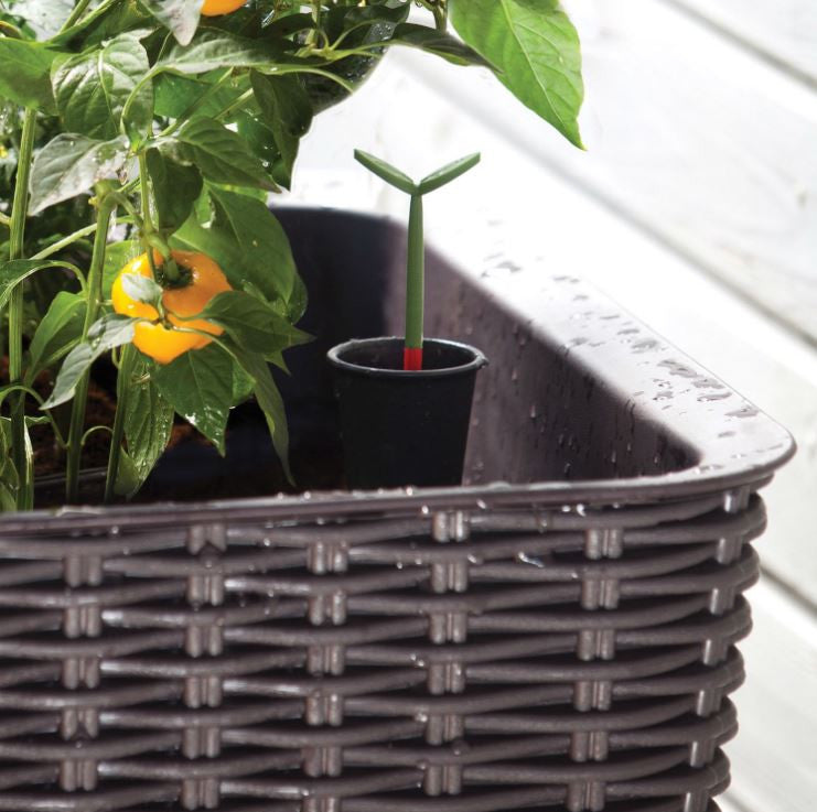 31.7 Gallon Raised Garden Bed Planter, Dark Brown Polypropylene Resin - Water Indicator