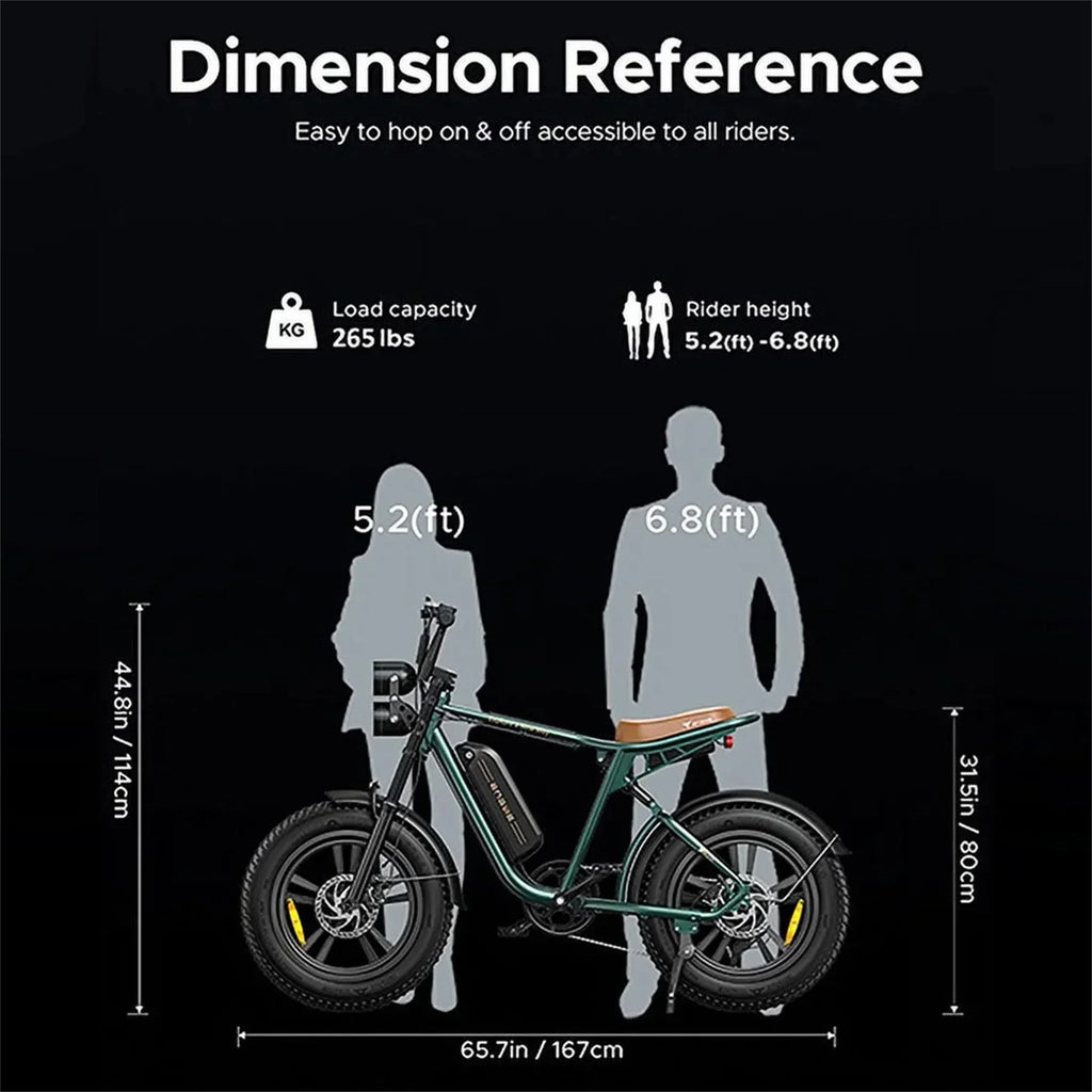 AKEZ Adult Electric Bike 1000W 28 mph 48V 13A 20*4.0in Fat Tire Full Suspension 7-Speed - M20