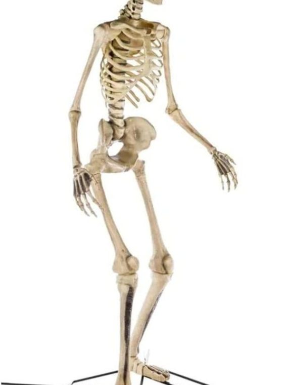 Home Accents 12 ft Giant-Sized Skeleton With LifeEyes - NO250058