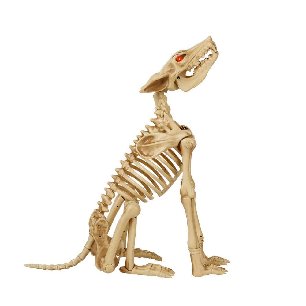 brand-animated-led-skeleton-wolf-25-ft-poseable-with-red-led-eyes-halloween-decor-6890
