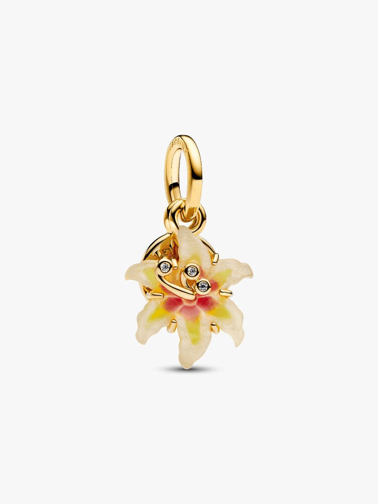 Disney Tangeled Charm Duo