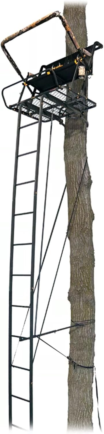 2-Person Ladder Tree Stand, 20ft, 500lb Capacity