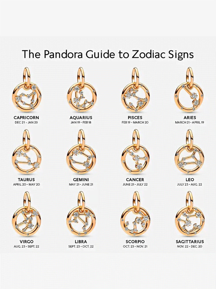 Aquarius Zodiac Dangle Charm