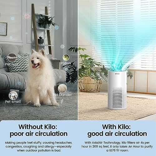 Afloia Kilo Air Purifier For Home Large Rooms Up To 1076 Ft - H13 True HEPA