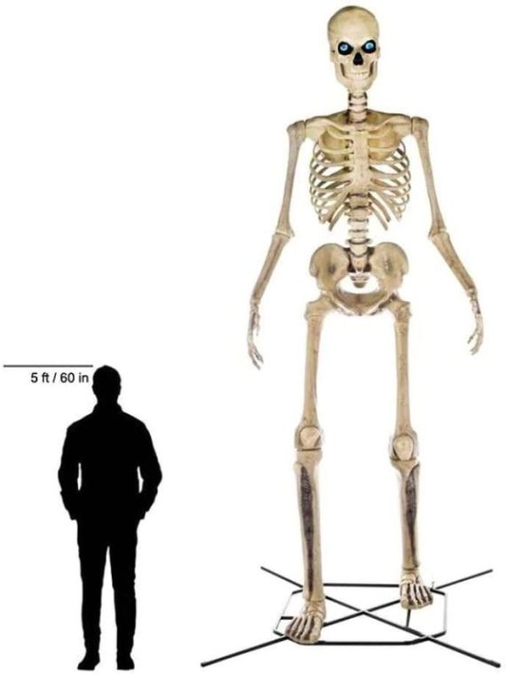 Home Accents 12 ft Giant-Sized Skeleton With LifeEyes - NO250058
