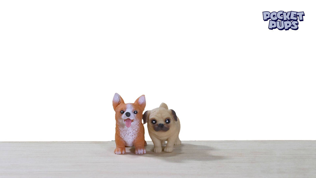 Pocket Pups
