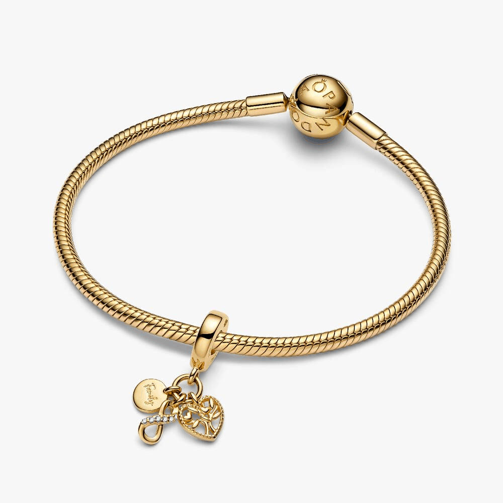 Family Infinity Triple Dangle Charm