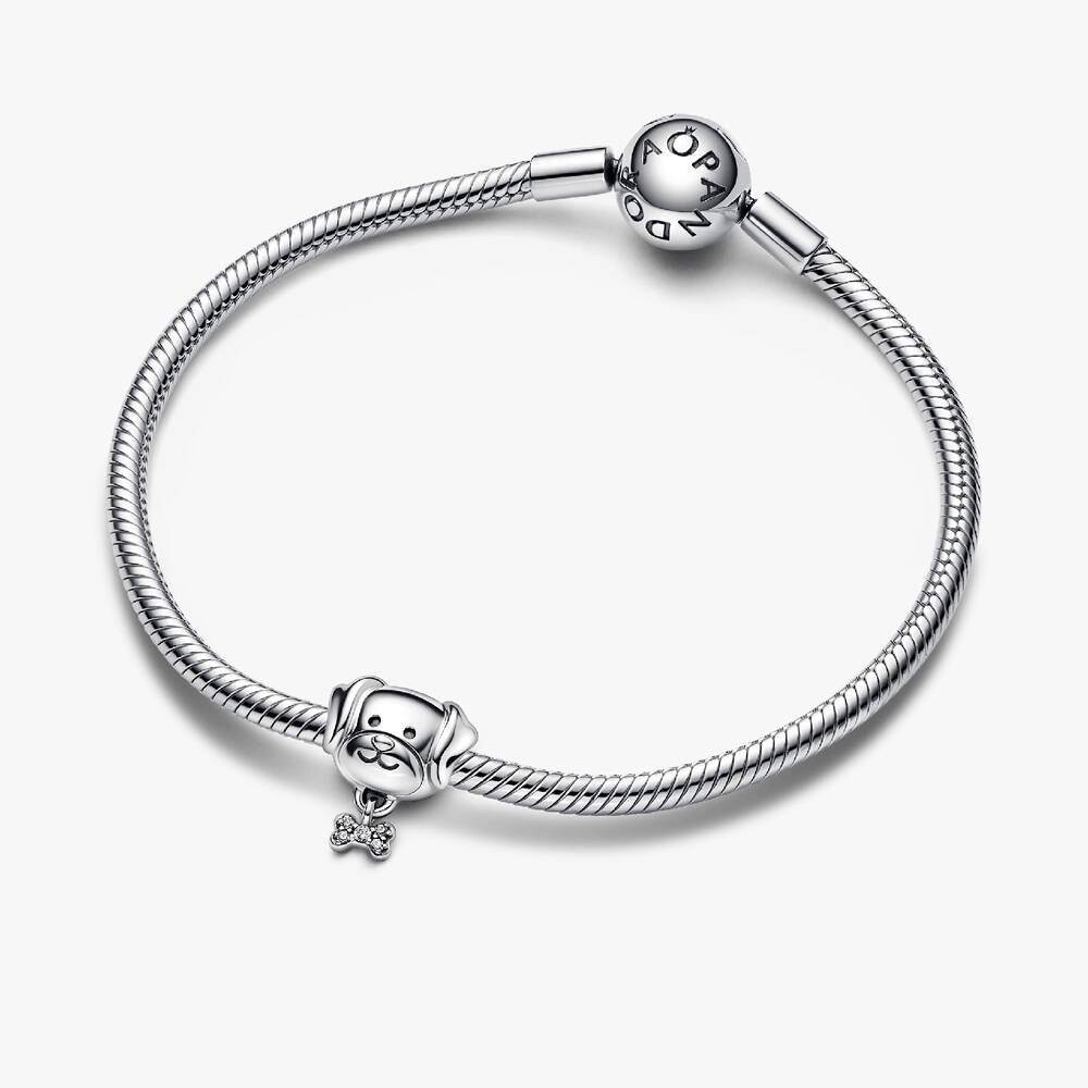 Pet Dog & Bone Charm