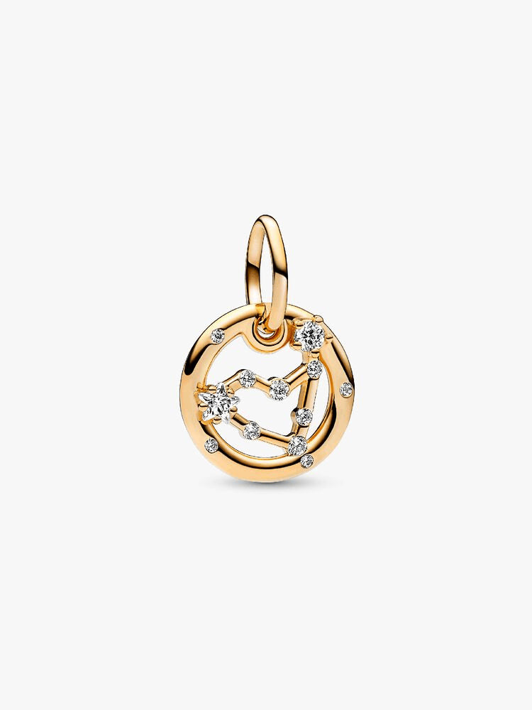 Capricorn Zodiac Dangle Charm Bracelet Set