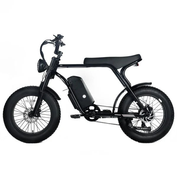 Electric Mountain Bike For Adults With 20 x 4.0 Fat Tires, 1000W Motor, 48V 20Ah Removable Battery, 45MPH Speed, 7-Speed
