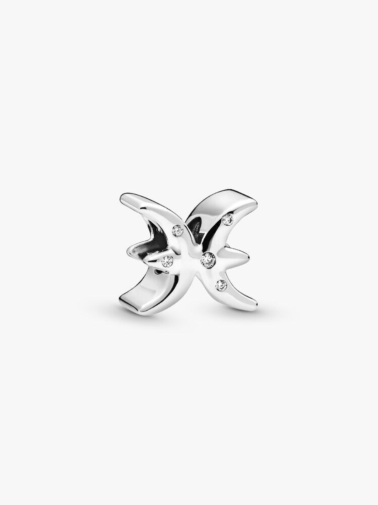 Pisces Zodiac Charm Bracelet Set