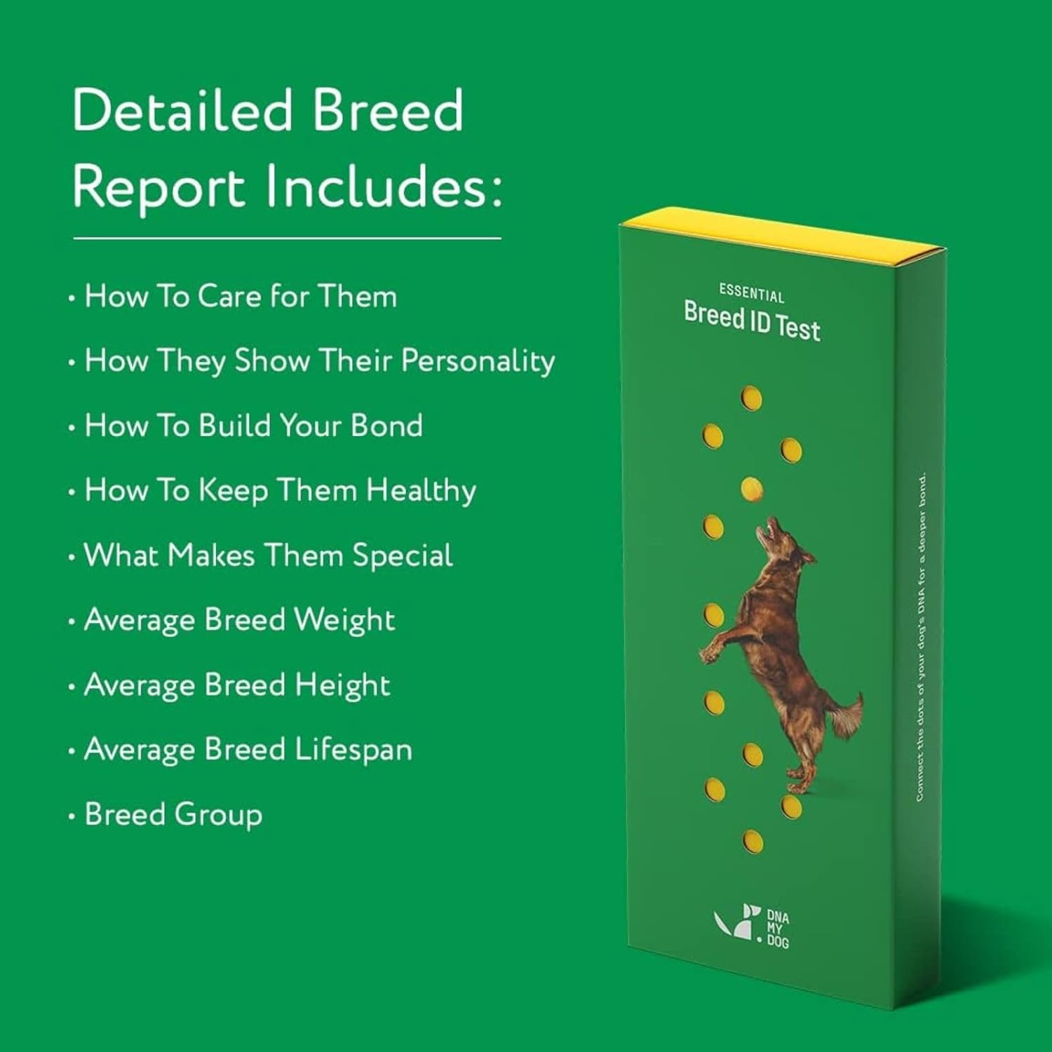 dna-my-dog-essential-breed-id-testaccurate-mixed-breed-identification-personality-insights-for-dogs-3704