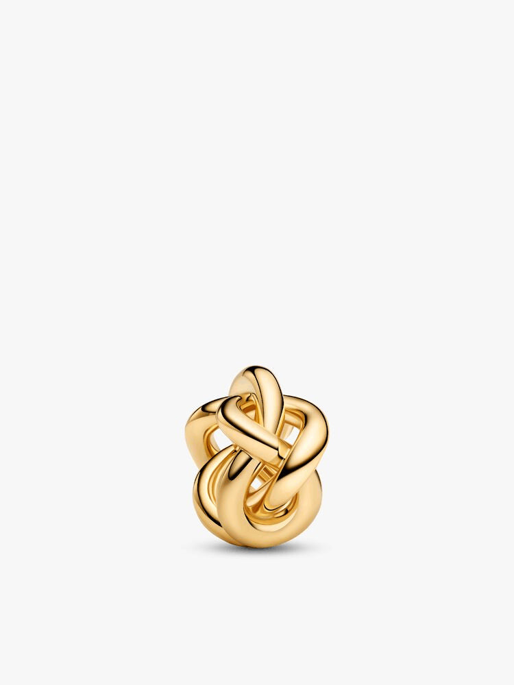 Infinity Knot Charm