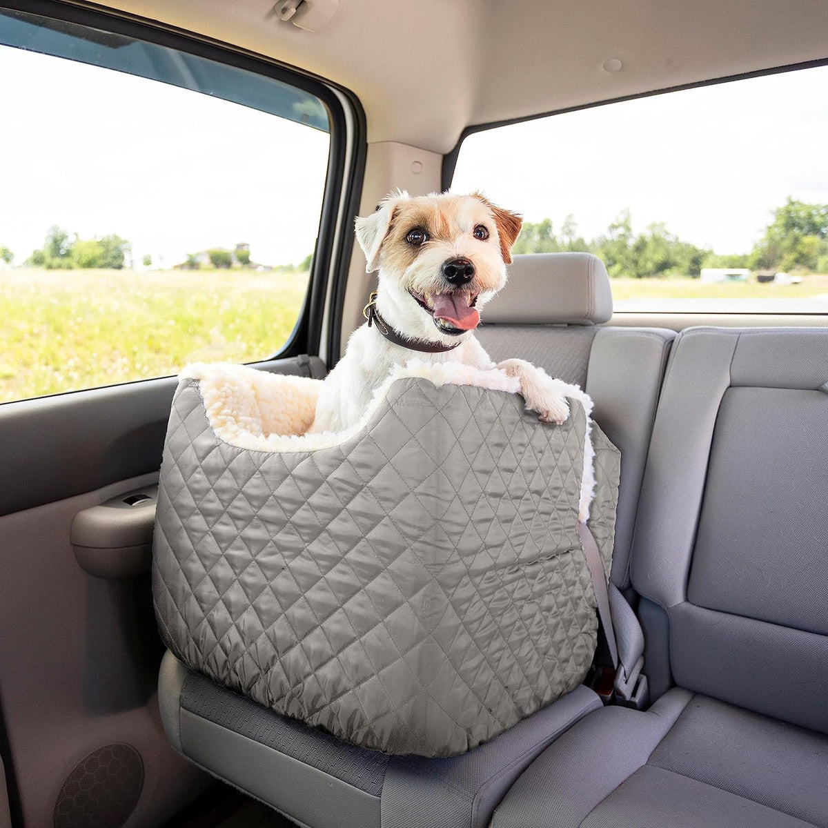 Dog Booster Car Seat For Small Dogs 5-15 lbs, 17H x 15W x 19L in - Lookout I