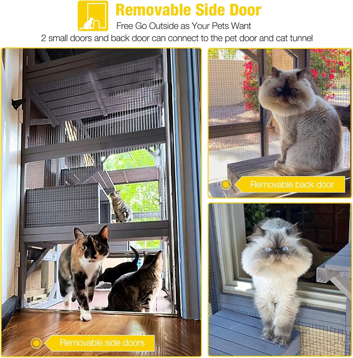 Large Walk-In Outdoor Cat Enclosure With 7 Platforms