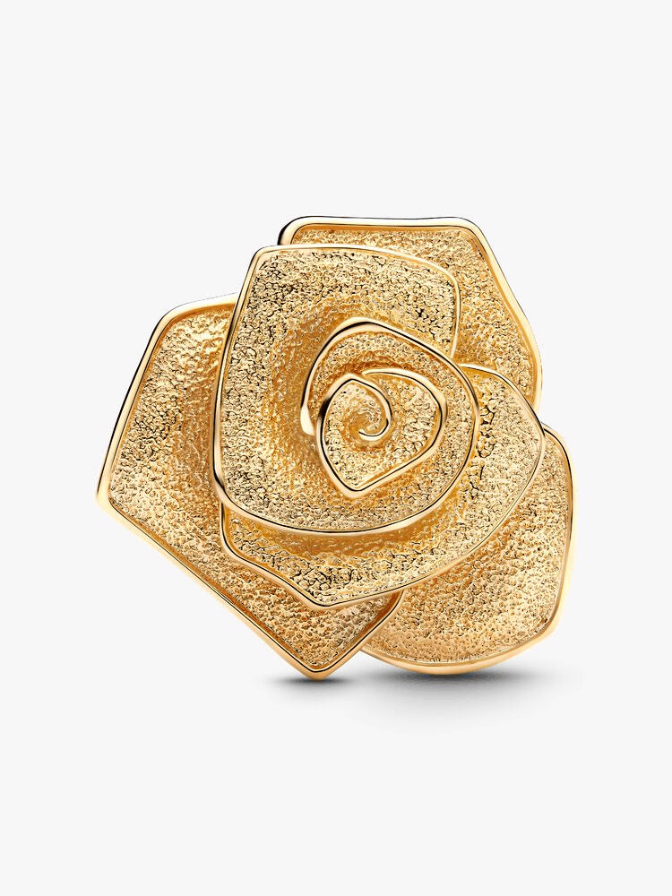 Golden Rose in Bloom Charm Bracelet Set