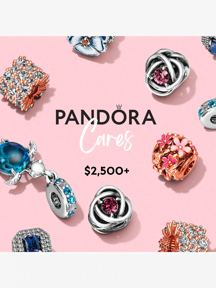 Pandora Care 2500 and more