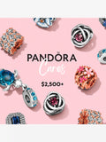 Pandora Care 2500 and more