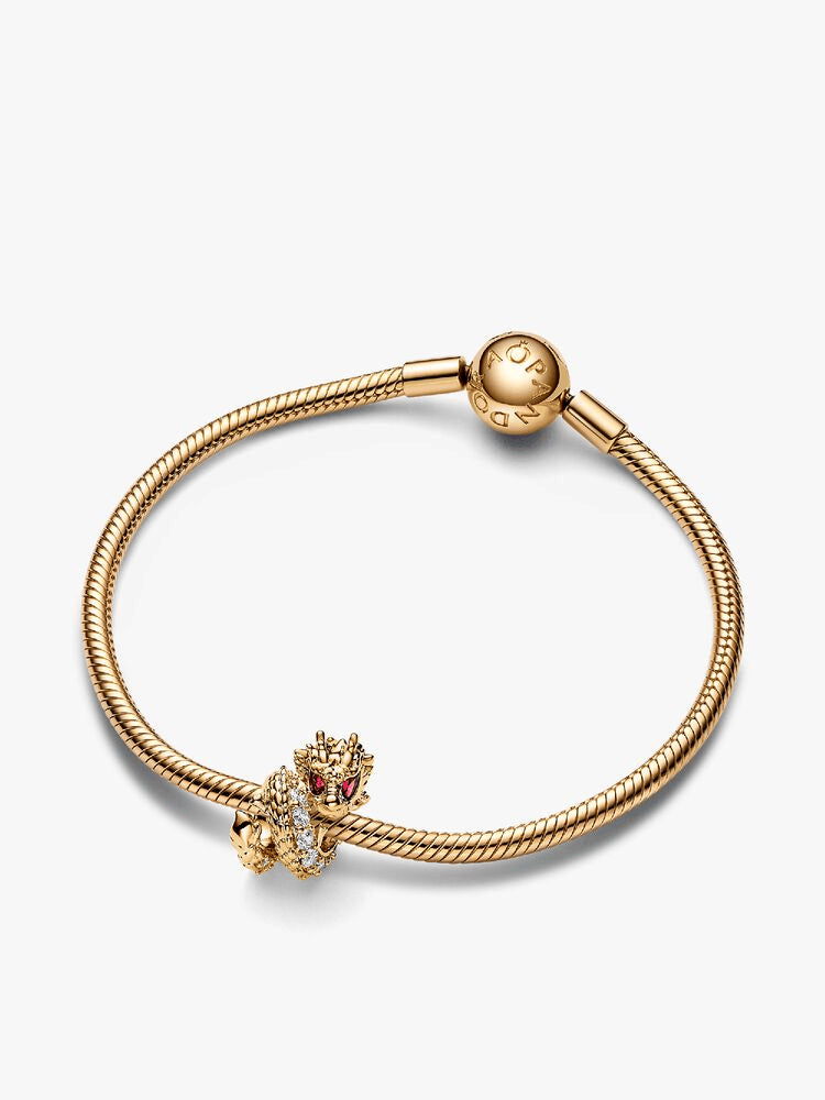 Dragon Charm Bracelet Set