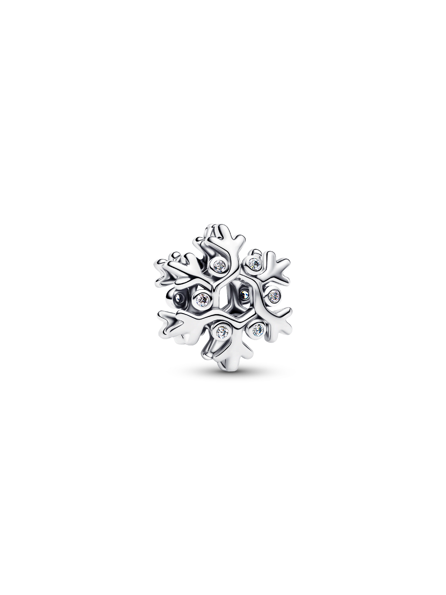 Snowflake Charm