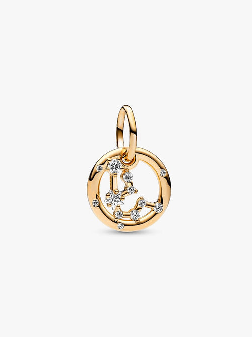 Aquarius Zodiac Dangle Charm