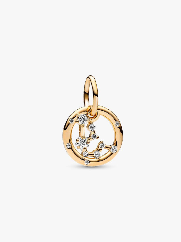 Aquarius Zodiac Dangle Charm