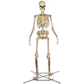 home-accents-12-ft-giant-skeleton-with-lifeeyes-95-lbshalloween-decoration-3615