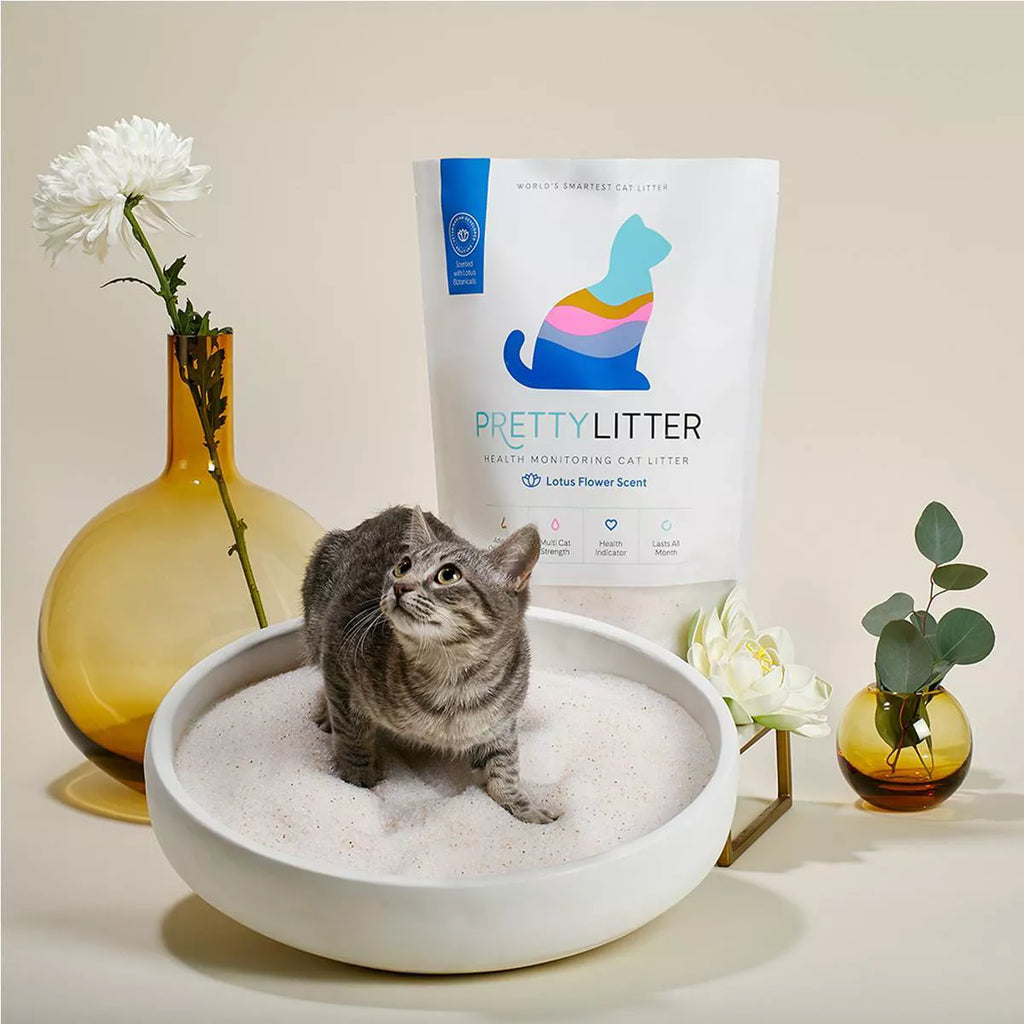 prettylitter-lotus-flower-scented-cat-litter-8lbsadvanced-odor-control-ultra-lightweight-99-dust-free-4947