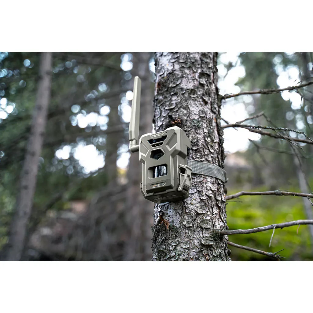 spypoint-flex-m-28mp-trail-camera-twin-pack-with-infrared-flash-sd-cards-6965