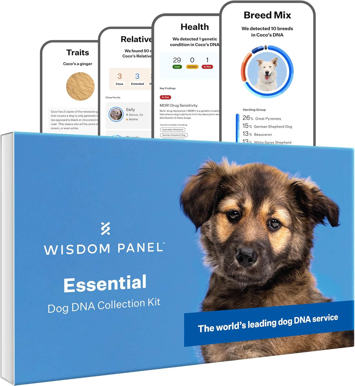 wisdom-panel-essential-dog-dna-kitaccurate-365-breeds-30-health-conditions-50-traits-ancestry-insights-1-pack-4460
