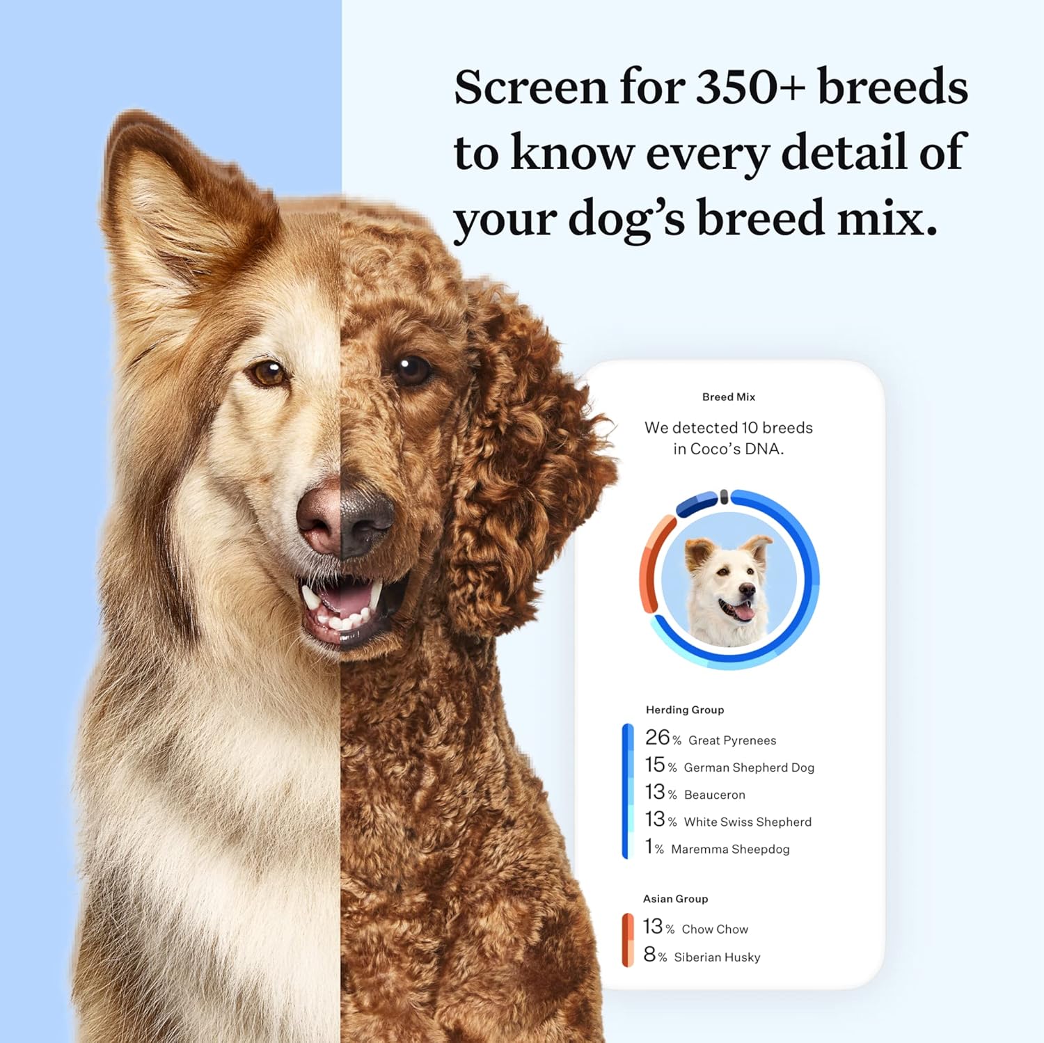 wisdom-panel-essential-dog-dna-kitaccurate-365-breeds-30-health-conditions-50-traits-ancestry-insights-1-pack-4460
