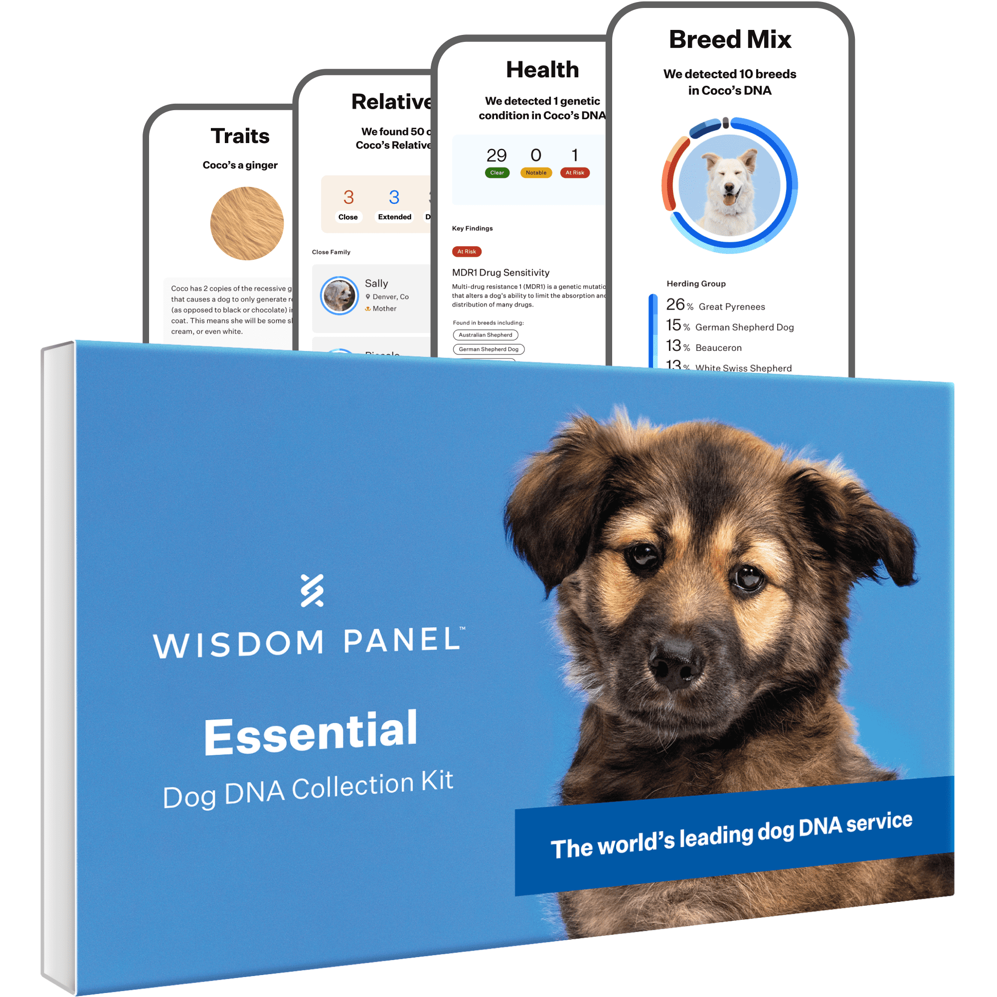 wisdom-panel-essential-dog-dna-test-kitbreed-health-insights-350-breeds-25-medical-conditions-accurate-ancestry-tracing-4526